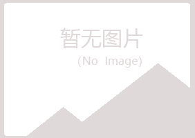 漯河字迹咨询有限公司